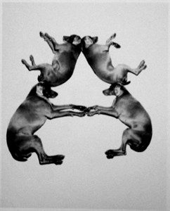 Image description is not available for 2001.059